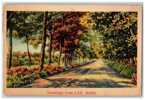1943 Greetings From Lee Massachusetts MA, Tree-lined Scene Antique Postcard