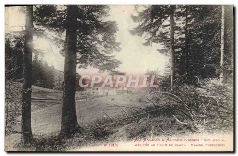 Postcard Old Forest Ballon d & # 39Alsace Arrive at Canyon Plain House forestry