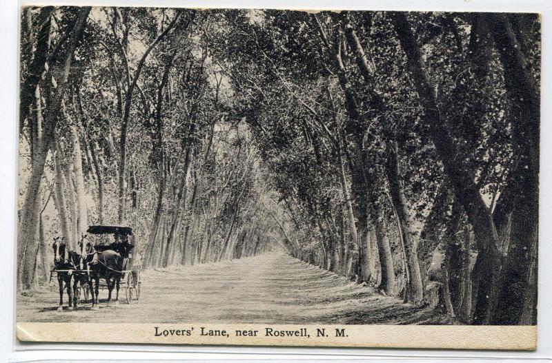 Lovers Lane Horse Buggy Trees Roswell New Mexico 1911 postcard