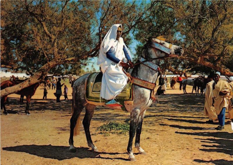 B91427 libya libua arab rider types folklore libia africa