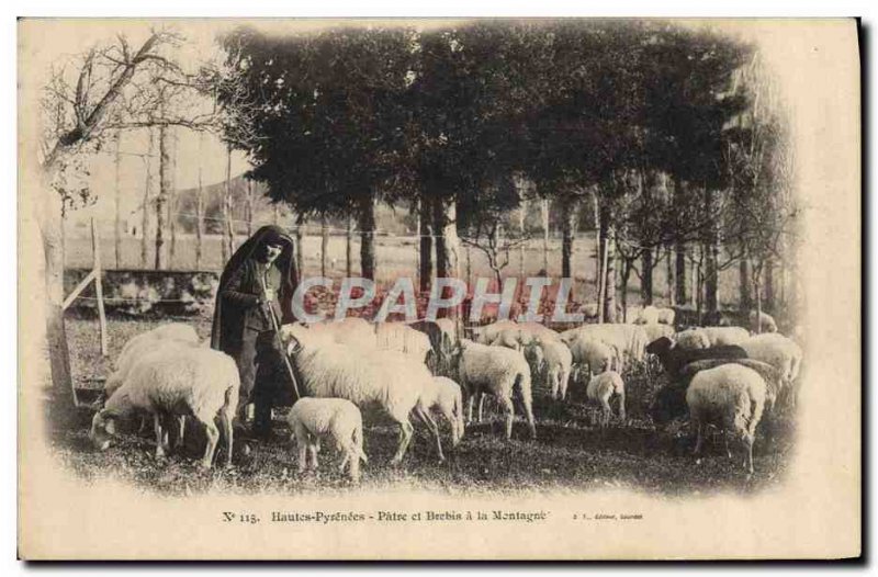 Old Postcard Folklore hitch Hautes Pyrenees Patre and ewe Sheep Mountain