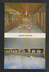 Oronoque Orchards,Stratford,CT Postcard 