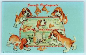 Beagle? PUPPIES playing in FISH TANK ~ Juvenile Doglinquents 1958 Postcard