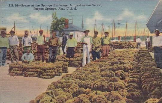 Florida Tarpon Springs Scene At The Sponge Exchange Largest In The World 1951