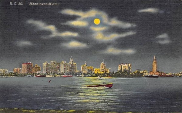 Moon over Miami Florida  