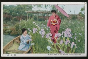 Vintage Japan Postcard Women taking a Wark in the Iris Sibirica Park TB3979