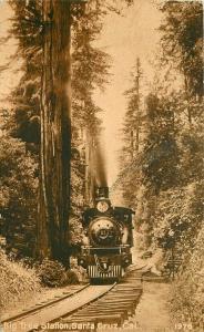 Big Tree Station railroad train Santa Cruz California 1911 Postcard PNC 4396