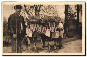 Old Postcard Folklore Types Basque Basque hitch