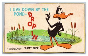 Postcard Daffy Duck Warner Brothers I Live Down By Pond Drop In pc1757