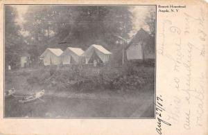 Angola New York Bennett Homestead Tent Waterfront Antique Postcard K91698