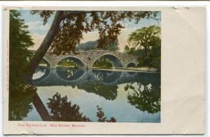 Old Stone Bridge Catskill Mountains New York postcard