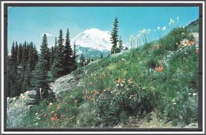 Washington, Mount Rainier From Dewey Lake Trail - [WA-024]