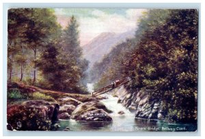 c1910 Miners Bridge Bettsw-y Coed Wales Unposted Oilette Tuck Art Postcard 