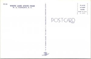 Tamworth, NH New Hampshire  WHITE LAKE STATE PARK Beach Scene~Swimmers  Postcard