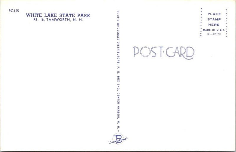 Tamworth, NH New Hampshire  WHITE LAKE STATE PARK Beach Scene~Swimmers  Postcard