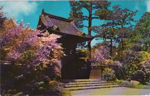 California San Francisco Oriental Tea Garden Golden Gate Park 1966