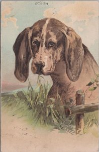 Postcard Sad Looking Hound Dog 1912