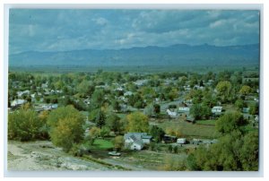 c1960s Located on Central Utah Highway US 89 and I-70 Salina UT Postcard 