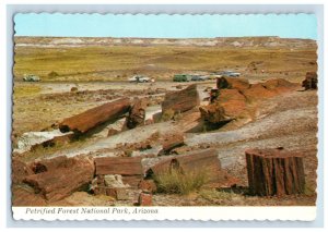 Vintage Petrified Forrest National Parke, Arizona.  Postcard 5WE