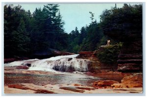 c1950's Scenic Attraction Swallow Falls State Forest Tourist Garrett MD Postcard