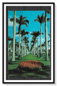 Florida, Palm Beach - Royal Palm Way - [FL-061]