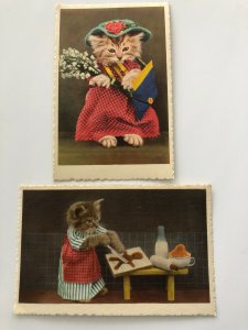 VTG Postcard Lot 1960s Dressed Kittens Cooking Floral Bag Switzerland Unposted