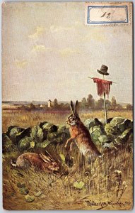 Two Hares In A Field Of Cabbages Undeterred Meagre-Looking Scarecrow Postcard