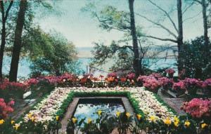 Alabama Mobile Bellingrath Gardens The Pool