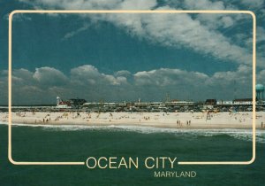 Vintage Postcard The South End as Seen on the Pier Ocean City Maryland