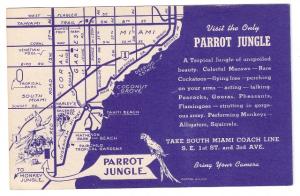 FL Miami Parrot Jungle Pin up Pretty Girl Vintage Advertisement Postcard
