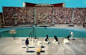 California Palos Verdes Marineland Of The Pacific Sea Arena From Backstage Po...