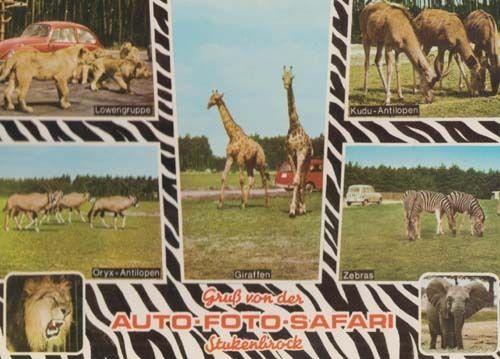 Stuckenbrock Wildlife German Safari Park Postcard