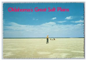 Postcard OK Oklahoma's Great Salt Plains Continental View Card