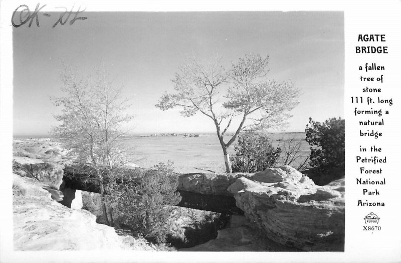 Postcard RPPC 1940s Arizona Petrified Forest Agate Bridge Frasher 24-5387