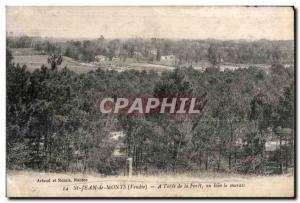 Postcard Old St Jean de Monts (Vendee) A I oree of the forest in the distance...