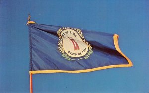 KENTUCKY STATE FLAG Bluegrass State c1960s Chrome Vintage Postcard