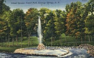 Island Spouter, Geyser Park - Saratoga Springs, New York NY  