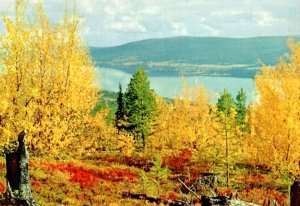 Vintage Postcard Sweden Beautiful nature in the fall unposted Ultra