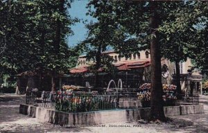 The Plaza Pool And Carnivora House Zoological Park Toledo Ohio