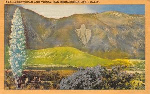 Arrowhead and Yucca San Bernardino Mountains CA