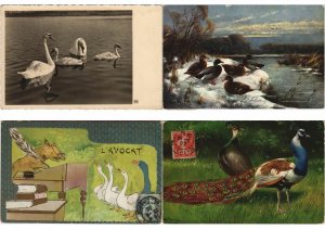 BIRDS OISEAUX 606 Vintage ANIMALS Postcards Mostly pre-1940 (L5126)