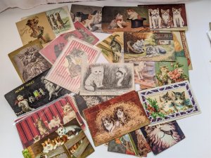 Lot of 55 cat Postcards