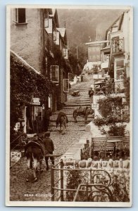 Devon England Postcard Clovelly Inclined Street Animal c1920's RPPC Photo