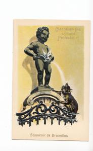 B81349 embossed en relief  bruxelles manneken pis on cat chat front/back image