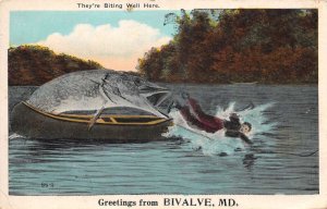Bivalve Maryland Fishing Exaggeration Greetings Biting Well Postcard AA84112