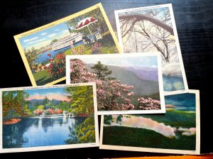 Vintage Postcard 1930-1945 Set of 5 Sweet Linen Cards - All Blank