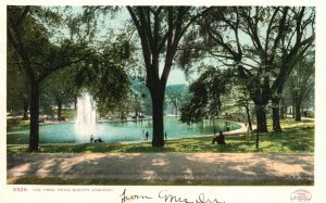 Vintage Postcard 1920's The Frog Pond Boston Commonwealth of Massachusetts MA