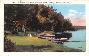 Duneden Boat Landing Beach Lake, Pennsylvania PA  