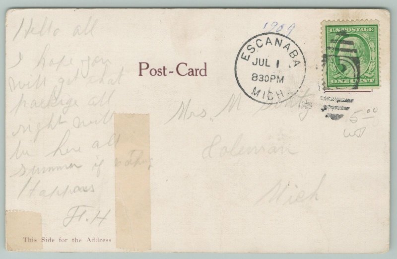 Escanaba Michigan~Fair Savings Bank Store~c1905 Postcard