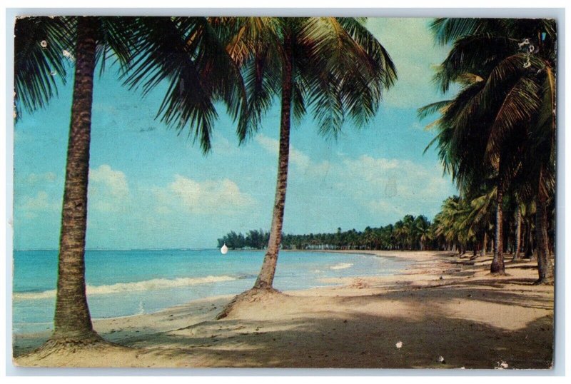 1966 Luquillo Beach White Sand Palm Tree San Juan Puerto Rico PR Posted Postcard